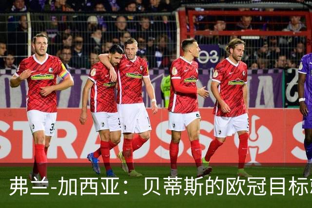 弗兰-加西亚：贝蒂斯的欧冠目标就是尽量进入前24